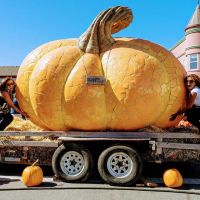 Photos with Giant Pumpkin Sculpture