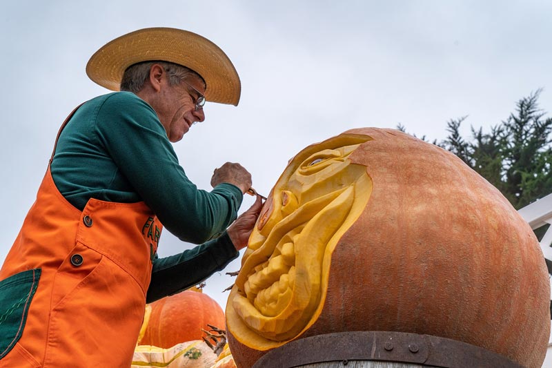 Farmer Mike carving giant pumpkins