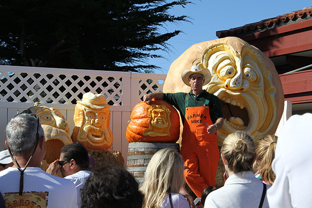 Farmer Mike, pumpkin carving expert