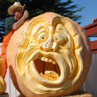 Farmer Mike carves giant pumpkin